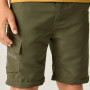 Детски панталони Regatta Sorcer Z/O Trousers III Treetop
