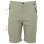 Мъжки панталони Regatta Travel Light Z/O Packaway Trousers