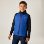 Детско яке Regatta Boys Trekktain 3-in-1 II Nvy/OlympBlu