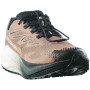 Мъжки обувки Salomon Aero Blaze 4 Grvl