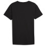 Мъжка тениска Puma Everyday Crew Neck Tee 2P