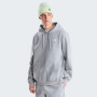 Мъжки суитшърт The North Face M Evolution Simple Dome Regular Hoodie