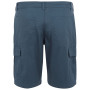 Мъжки къси панталони Regatta Ruwan Shorts