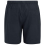Мъжки къси панталони Regatta Hadlin Shorts
