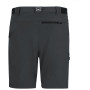 Мъжки къси панталони Regatta Anti-Insect Travel Light Shorts