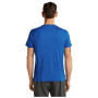 Мъжка тениска Icebreaker Men Merino 150 Tech Lite SS Tee Range Stripes