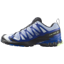 Мъжки обувки Salomon Xa Pro 3D V9 Icon