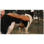 Облекло за куче Ruffwear Overcoat Fuse™ Insulated Vest