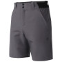 Мъжки къси панталони Dare 2b Torrek II Short