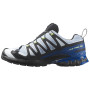 Мъжки обувки за бягане Salomon Xa Pro 3D V9 GTX Icon