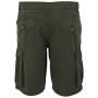 Мъжки къси панталони Regatta Shorebay Shorts II