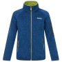 Детски суитшърт Regatta Junior Newhill Aviator Blue Golden Cypress син AvBlu(GldCy)