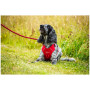 Нагръдник за куче Mountain Paws Dog Harness