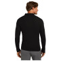 Функционална мъжка тениска Icebreaker M 175 Everyday LS Half Zip