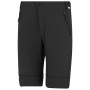 Мъжки панталони Regatta Mountain Z/O Trousers