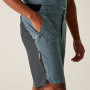 Мъжки къси панталони Regatta Eldes Shorts