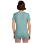 Дамска тениска Icebreaker Women Merino 150 Tech Lite SS Tee Terrain