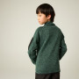 Детски суитшърт Regatta Junior Newhill DrkForGlacGr