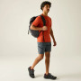 Мъжки къси панталони Regatta Xert Stretch Shorts
