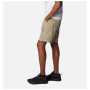 Мъжки къси панталони Columbia Silver Ridge™ Utility Cargo Short