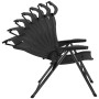 фотьойл Brunner Aravel H2L M