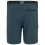 Мъжки къси панталони Regatta Xert Stretch Shorts