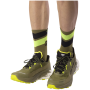 Мъжки обувки за бягане Dynafit Ultra 100 V3 Gtx