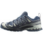 Мъжки туристически обувки Salomon Xa Pro 3D V9 Gore-Tex