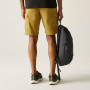 Мъжки къси панталони Regatta Ruwan Shorts