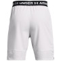Мъжки къси панталони Under Armour Vanish Woven Shorts