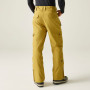 Мъжки панталони Dare 2b Baseplate Insulated Pant