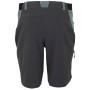 Мъжки къси панталони Regatta Eldes Shorts