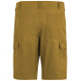 Мъжки къси панталони Regatta Ruwan Shorts