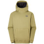 Мъжки суитшърт Dare 2b Rampge Freeride Hoody зелен MartiniOlive