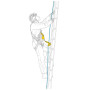 Осигурителен ремък Petzl Asap´Sorber 20cm