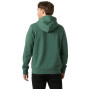Мъжки суитшърт Helly Hansen Core Graphic Hoodie