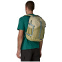 Раница Patagonia Refugio Day Pack 30L