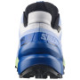 Мъжки обувки за бягане Salomon Speedcross 6 GTX Icon