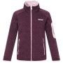 Детски суитшърт Regatta Junior Newhill Fig Powder Lilac червен FigPowLilac
