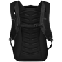 Раница Salewa Fanes 24L