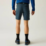 Мъжки къси панталони Regatta Xert Stretch Shorts