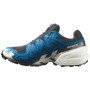 Мъжки обувки за бягане Salomon Speedcross 6 Gore-Tex