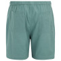Мъжки къси панталони Regatta Hadlin Shorts