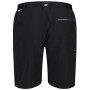 Мъжки къси панталони Regatta Xert Stretch Shorts III