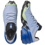Мъжки обувки за бягане Salomon Speedcross 6 GTX Icon