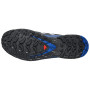 Мъжки обувки за бягане Salomon Xa Pro 3D V9 GTX Icon