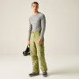 Мъжки панталони Dare 2b Baseplate Insulated Pant