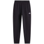 Мъжки анцуг The North Face M Evolution Simple Dome Regular Jogger черен TNF BLACK