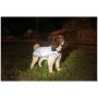 Дъждобран за куче Mountain Paws Reflective Fleece-Lined Dog Raincoat