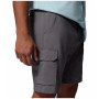 Мъжки къси панталони Columbia Silver Ridge™ Utility Cargo Short